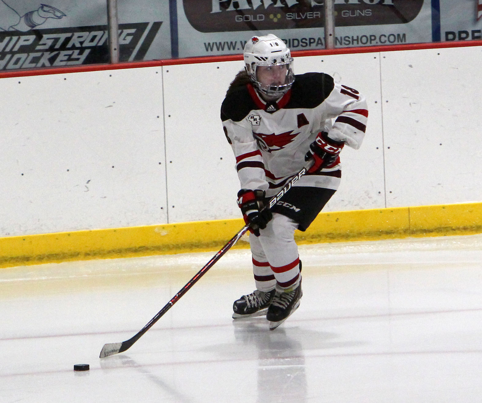 Girls Hockey State Championship: Chippewa Falls/Menomonie vs University School of Milwaukee in Wisconsin Rapids 2-20-21